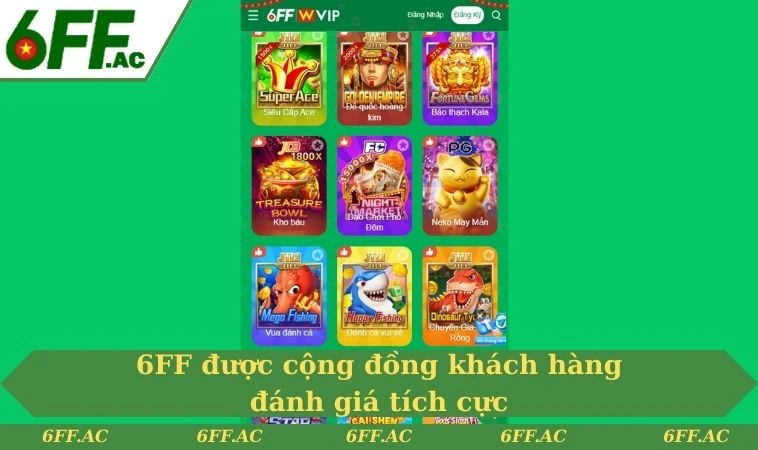 6FF được cộng đồng khách hàng đánh giá tích cực