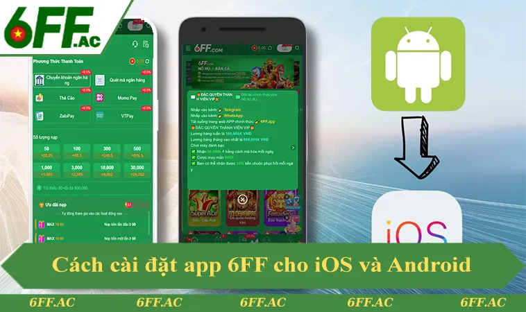Cách cài đặt app 6FF cho iOS và Android