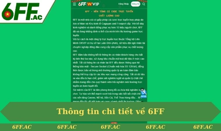 Thông tin chi tiết về 6FF